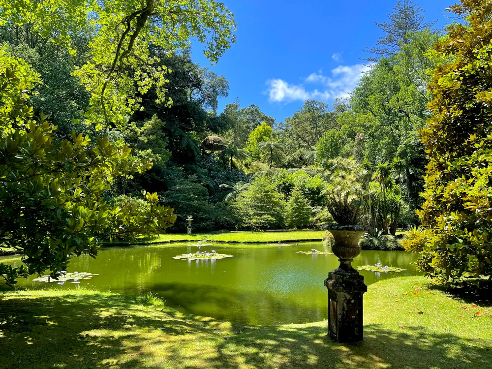 travels.places.azores.terra-nostra-garden