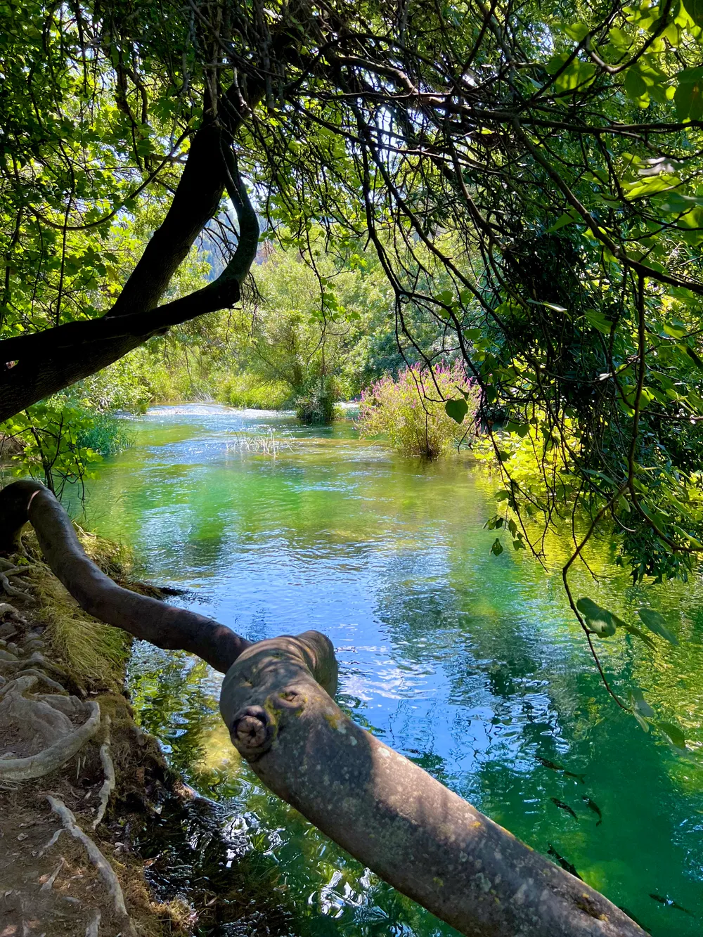 travels.places.croatia.krka-national-park