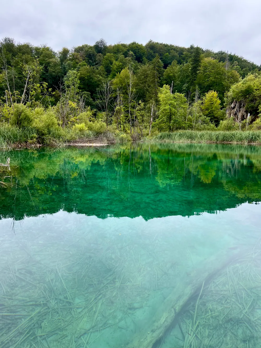 travels.places.croatia.plitvice-lakes