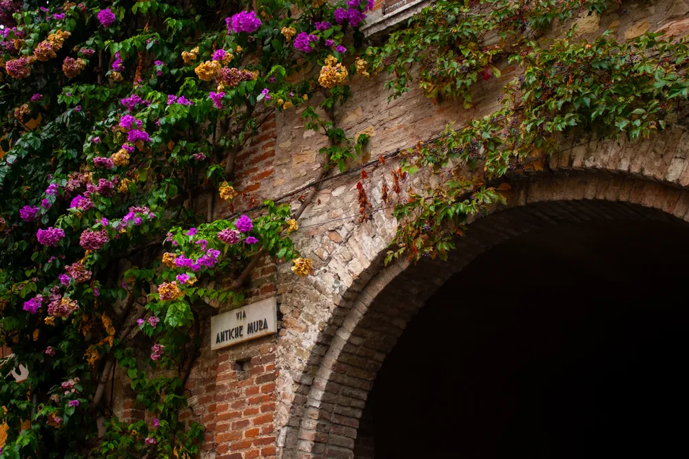 travels.places.dolomites.garda