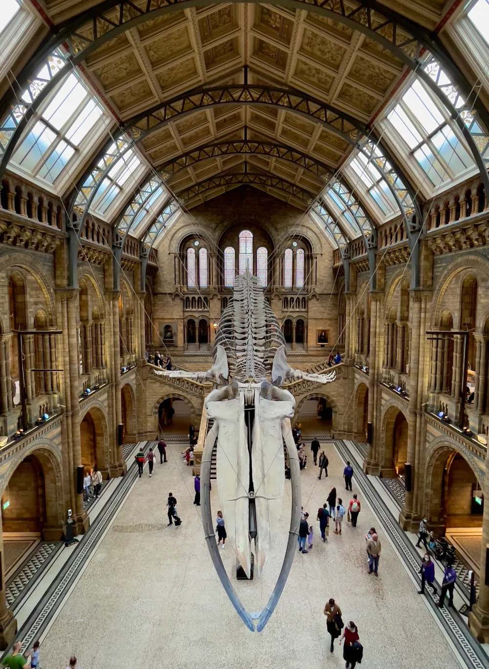 travels.places.london.natural-history-museum
