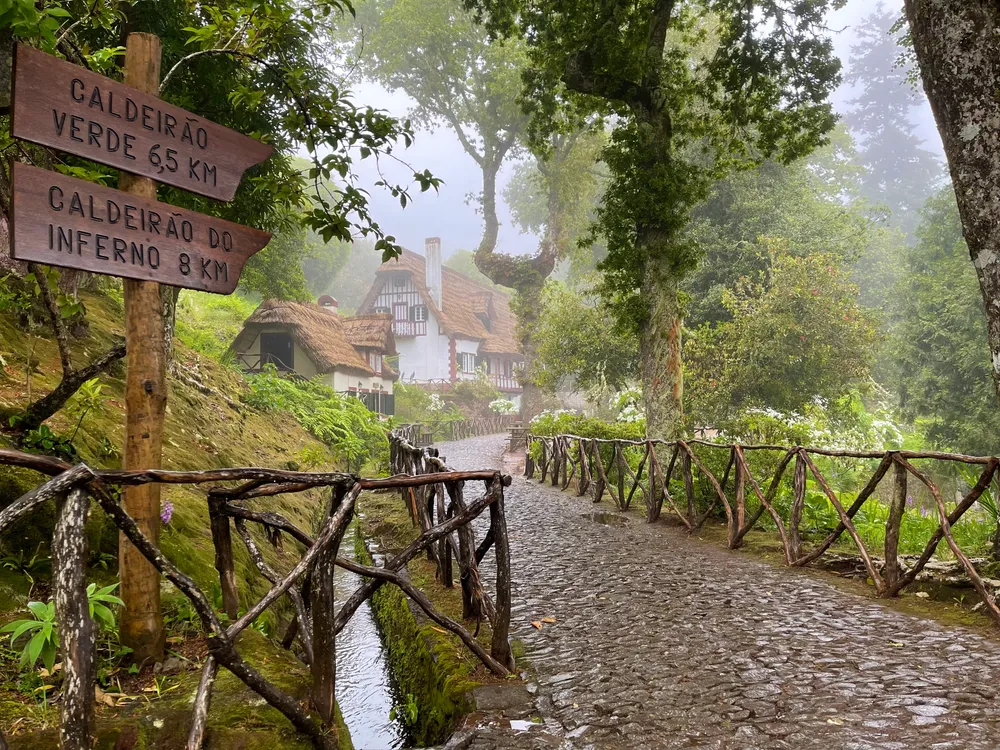 travels.places.madeira.queimadas-forest-park