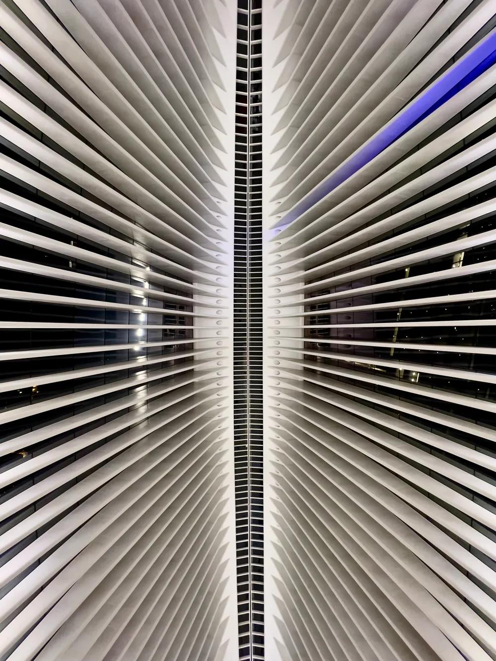 travels.places.new-york.oculus-station